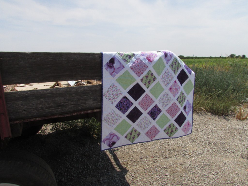 Sugar & Spice & Everything Nice Baby Girl Quilt July 2014