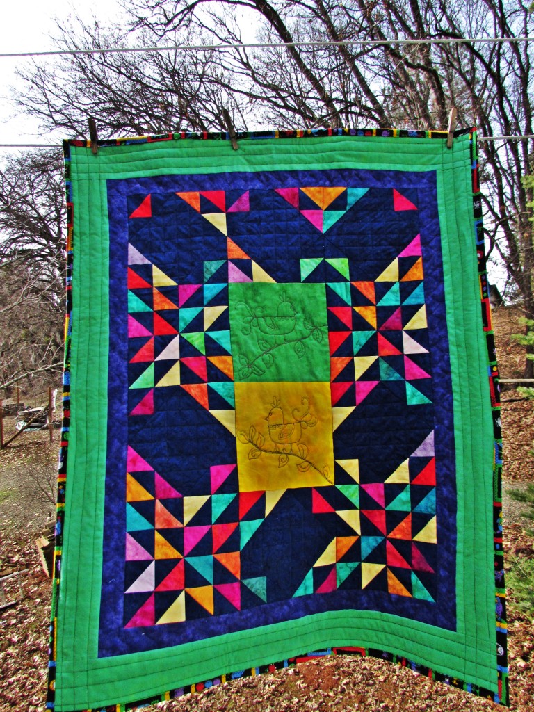 Baby Bird Quilt, January 2016