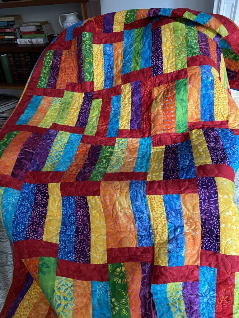 Color Catchers - Sister's Choice Quilts